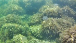 Бухта "Голубой залив".mp4