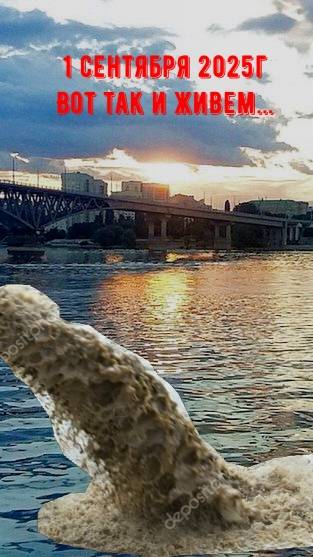 Знаем и скорбим! Волга. Район Дудаковского оврага. Волжский район г. Саратова.