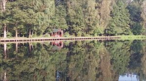 Утренний обзор с нижнего водоёма. Клёвое место, Лосиный остров.