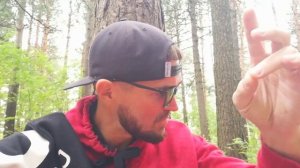 Сайма Сургут мантра ОМ 20250829103124