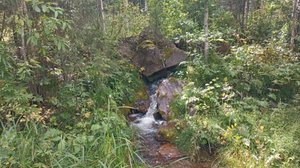 Водопад в горно-таежной местности