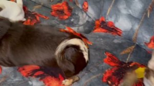 Доброго утречка и чудесного начала дня.