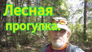 Лесная прогулка! Набрал грибов и яблок!