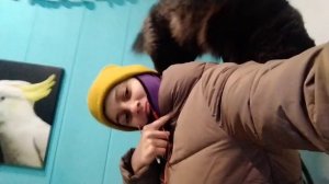 Коту под хвост