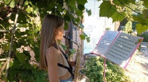 Love Theme from The Godfather  Nino Rota