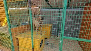 Побег за счастьем обернулся бедой. 6 лет ждал семью, но вернулся к ужину |  Норд