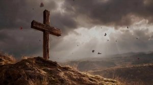 video_64 Три кедра