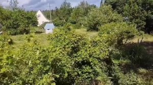 Приморск СНТ Смородинка. Полное видео