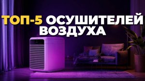 Лучшие осушители воздуха 2025: ТОП-5 моделей для идеального климата 🏠