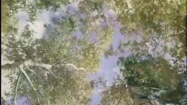 Анна Герман - жизнь и творчество — СВЕТИТ НЕЗНАКОМАЯ ЗВЕЗДА —  Раскрывая тайны звезд   НАДЕЖДА_ТВ