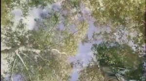 Анна Герман - жизнь и творчество — СВЕТИТ НЕЗНАКОМАЯ ЗВЕЗДА — Раскрывая тайны звезд НАДЕЖДА_ТВ