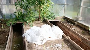 Управилась и со второй теплицей 💃💃💃💃💃