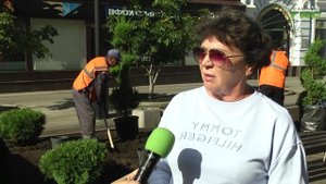 Обновленные клумбы на Ленинградской: что посадили и как отреагировали самарцы