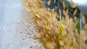 3 сентября - Ни в коем случае не берите это в руки.