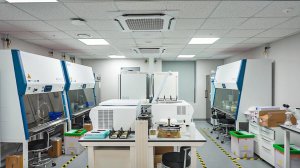 Inside Korea University Mediscience Park： A Walking Tour of Biomedical Innovation