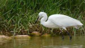 14109190_3840_2160_24fps