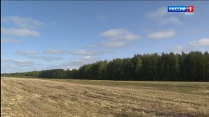 Погода на неделю