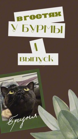В гостях у Бурмы.