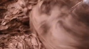 #история #интереснаяистория #рассказ #залипашка