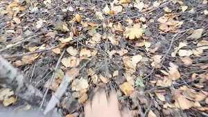 Сходил в лес за грибами, и сварил суп Груздянку.