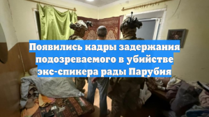 Появились кадры задержания подозреваемого в убийстве экс-спикера рады Парубия