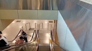 Долгий день