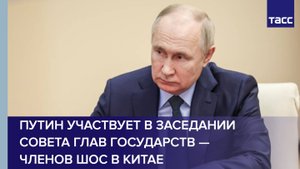 Владимир Путин участвует в заседании Совета глав государств — членов ШОС в Китае