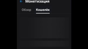 Монетизация на Рутубе в 2025 году. Что надо знать о монетизации.
