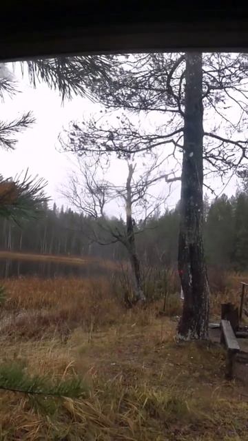 Сигнал охотника)) смотреть онлайн