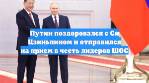 Путин поздоровался с Си Цзиньпином и отправился на прием в честь лидеров ШОС