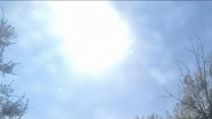 Куда я пропал