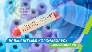 Штамм «Стратус»: что известно о новом варианте ковида в России?