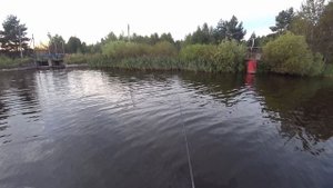 В поисках окуней