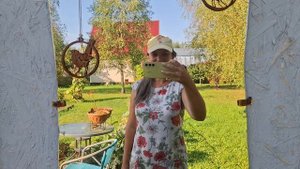 День лета. Ива у соседки. Террасы нет, а кресло стоит. Закат
