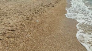 Азовское море. 1.09.2025