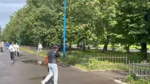 video5307579099584167278