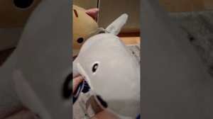 Школа котиков