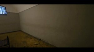 Растём вместе с Нильсом В Санкт-Петербурге Часть 3