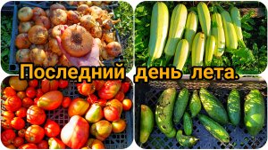 ВОТ И ЛЕТО ПРОШЛО 😊 ПОЕХАЛИ КОПАТЬ КАРТОШКУ 🥔🥔🥔 НО НЕ СУДЬБА ВИДНО 😄 НАШ УРОЖАЙ 🍅🥒