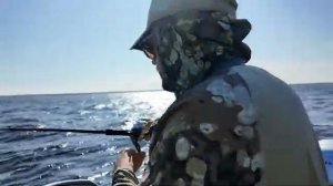 СУМАСШЕДШИЕ ПОКЛЁВКИ на УЛЬТРА ЛАЙТ и мышь. ТРОФЕЙНАЯ РЫБАЛКА В КАРЕЛИИ