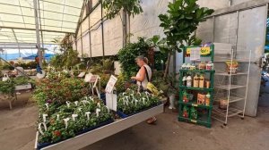 В магазине цветов! (6 июля 2025 года)