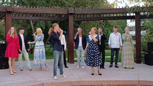 33. Ромашковые поля