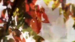 Камень Петров Кидался в облака мечтами