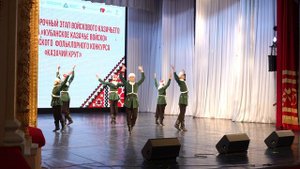 Ансамбль песни и танца Весна