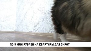 По 5 млн рублей на квартиры для сирот