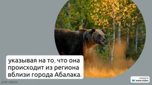Исследование фамилии Абалакина: происхождение, история и значение, а также полное склонение фамилии