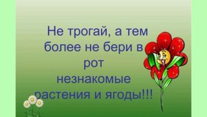 Правила безопасного поведения в лесу
