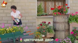 Цветы на участке и во дворе как красиво посадить фото идеи для вдохновения (37)