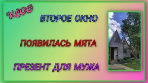 🍒 VLOG: Появилась мята/ Поменяли второе окно/ Распаковка презента для мужа