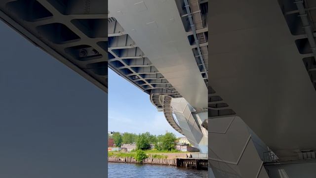 Прогулка вокруг Васильевского острова. #санктпетербург июнь 2025 #нева #финскийзалив